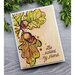 Colorado Craft Company - Big and Bold Collection - Clear Photopolymer Stamps - Oak Leaves and Acorns