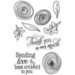 Crafter's Companion - Clear Photopolymer Stamps - Radiant Ranunculus