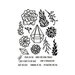 Crafter's Companion - Sensational Succulents Collection - Stamp and Die - Succulents