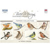 Creative Expressions - Feathered Friends Collection - A6 Die Cut Toppers