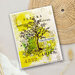Creative Expressions - Clear Photopolymer Stamps - Nature