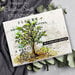 Creative Expressions - Clear Photopolymer Stamps - Nature