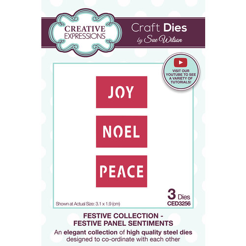 Creative Expressions - Festive Collection - Christmas - Craft Dies - Panel Sentiments