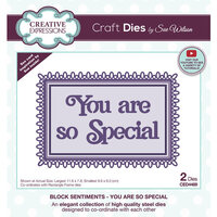 Creative Expressions - Craft Dies - Block Sentiments - You Are So Special