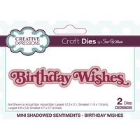 Creative Expressions - Mini Shadowed Sentiments Collection - Craft Dies - Birthday Wishes