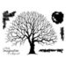 Woodware - Clear Photopolymer Stamps - Old Oak Tree