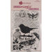 Woodware - Clear Photopolymer Stamps - Bird on a Branch