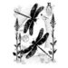 Woodware - Clear Photopolymer Stamps - Dancing Dragonflies