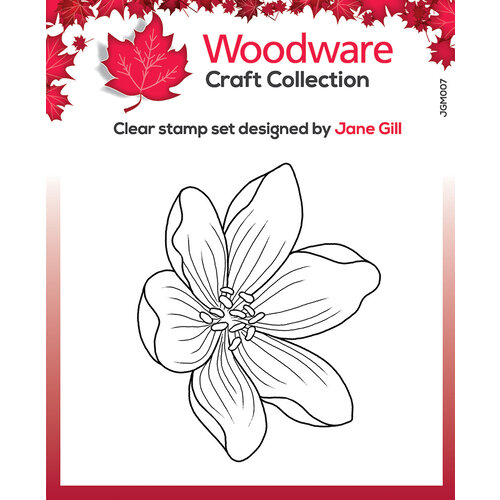 Woodware - Clear Photopolymer Stamps - Mini Garden Spray