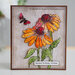 Woodware - Clear Photopolymer Stamps - Echinacea And Moth