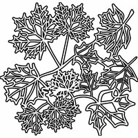 The Crafter's Workshop - 12 x 12 Doodling Templates - Maple Leaves
