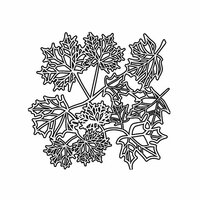 The Crafter's Workshop - 6 x 6 Doodling Templates - Mini Maple Leaves