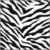 The Crafter&#039;s Workshop - 12 x 12 Doodling Templates - Zebra Print