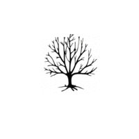 The Crafter's Workshop - Balzer Bits - Doodling Template - Tree