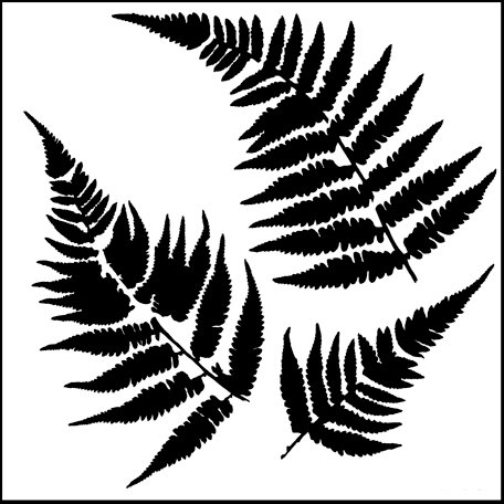 The Crafter's Workshop - 6 x 6 Doodling Templates - Mini Ferns