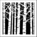 The Crafter's Workshop - 12 x 12 Stencils - Aspen Trees