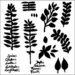 The Crafter's Workshop - 12 x 12 Doodling Templates - Herbarium