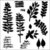 The Crafter&#039;s Workshop - 12 x 12 Doodling Templates - Herbarium