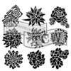 The Crafters Workshop - 12 x 12 Doodling Templates - Pretty Succulents