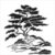 The Crafter&#039;s Workshop - 6 x 6 Stencils - Cypress Tree