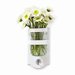 Cosmo Cricket - Mason Jar Sconce - Single - Wide