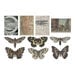 Idea-ology - Tim Holtz - Transparencies - Things