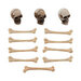 Idea-ology - Tim Holtz - Halloween - Skulls and Bones