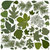 Creative Imaginations - Great Outdoors Collection - Die Cut Pieces - Spring Leaves