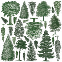 Creative Imaginations - Great Outdoors Collection - Die Cut Pieces - Trees