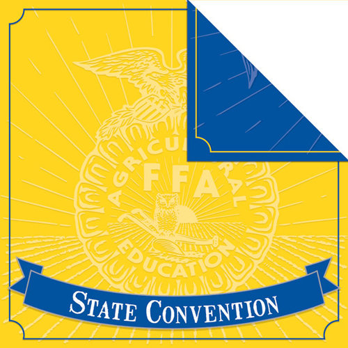 Creative Imaginations - FFA Convention Collection - 12 x 12 Double Sided Paper - Convention