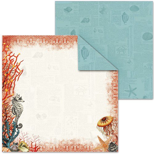 Splash of Color - Shell Seeker Collection - 12 x 12 Double Sided Paper - Sea Horse