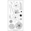 Concord and 9th - Clear Photopolymer Stamps - Wildflower