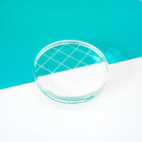 Catherine Pooler Designs - Acrylic Grid Stamping Block 2.75 Inch Round