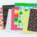 Catherine Pooler Designs - Birthday Fiesta Collection - 6 x 6 Patterned Paper Pack - Peruvian Market