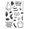 Catherine Pooler Designs - Clear Photopolymer Stamps - Build-a-Terrarium