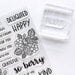 Catherine Pooler Designs - Clear Photopolymer Stamps - So Berry Sentiments