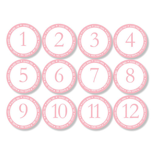 Chic Tags - Delightful Paper Tags - Month to Month Baby Circles - Set of 12