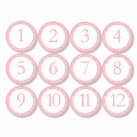 Chic Tags - Delightful Paper Tags - Month to Month Baby Circles - Set of 12