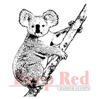 Deep Red Stamps - Cling Mounted Rubber Stamp - Koala Bear