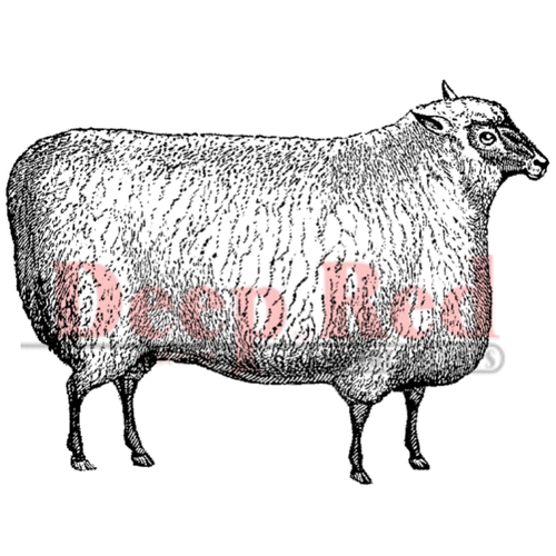Deep Red Stamps - Cling Mounted Rubber Stamp - Wooly Sheep