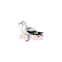 Deep Red Stamps - Cling Mounted Rubber Stamp - Seagull