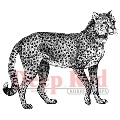 Deep Red Stamps - Cling Mounted Rubber Stamp - Cheetah