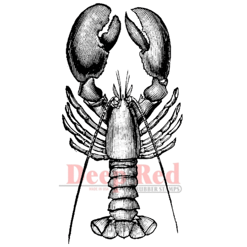 Deep Red Stamps - Cling Mounted Rubber Stamp - Lobster