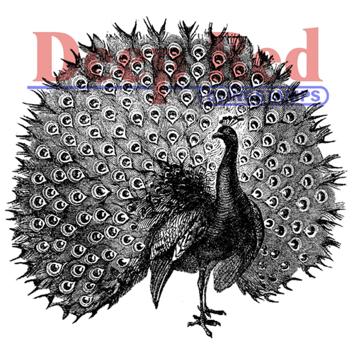 Deep Red Stamps - Cling Mounted Rubber Stamp - Peacock