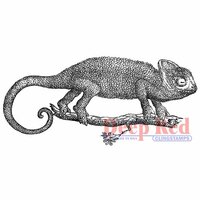 Deep Red Stamps - Cling Mounted Rubber Stamp - Chameleon