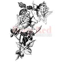 Deep Red Stamps - Cling Mounted Rubber Stamp - Roses Pen and Ink
