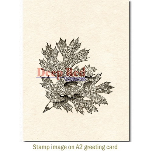 Deep Red Stamps - Cling Mounted Rubber Stamp - Elm Leaves