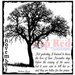 Deep Red Stamps - Cling Mounted Rubber Stamp - November Frost