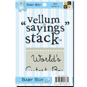 Die Cuts with a View - 4 x 6 Vellum Sayings Stacks - Baby Boy, CLEARANCE
