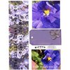 E-Cuts (Download and Print) Friendship Flowers 1